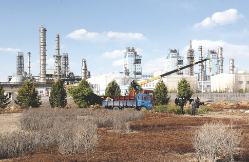 绿茵直播体育赛事